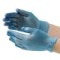 Blue Vinyl Gloves ( Powder-Free)
