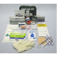 Vehicle / Lone Worker Kit