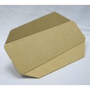 Cardboard Arm/Leg Splint